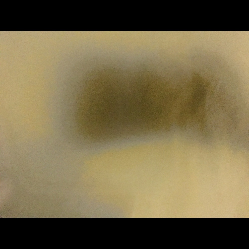 Shirt / - Picture 5 of 8